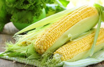 В каком виде разрешена кукуруза при панкреатите и как правильно ее готовить