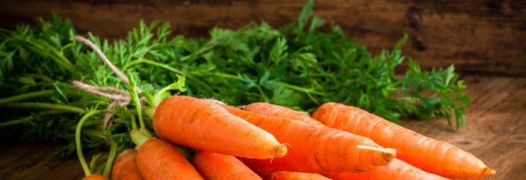 Разрешается ли употреблять морковь при панкреатите