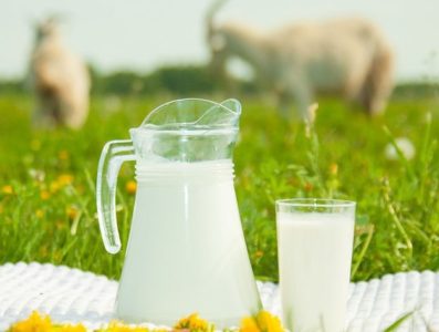 Польза молока и отрицательные стороны употребления