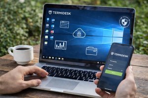 Виртуализация рабочих мест: как устроен подход, зачем он нужен бизнесу и какую роль играют решения класса Termidesk