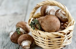 Можно ли при панкреатите есть грибы — в чем опасность и польза продукта