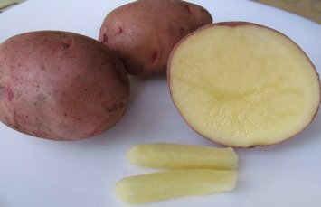 Как использовать картофель от геморроя?