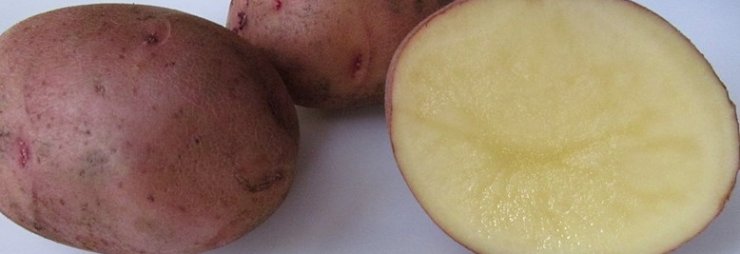 Как использовать картофель от геморроя?