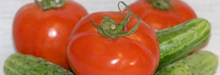 Можно ли при панкреатите и холецистите есть свежие огурцы, помидоры и пить томатный сок