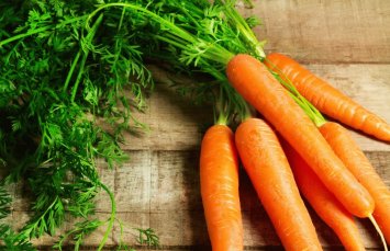 Как применяется ботва моркови от геморроя?