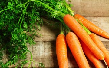 Как применяется ботва моркови от геморроя?