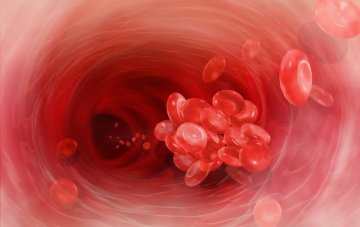 Как лечить кровотечение при геморрое?